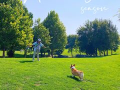 -北京金海湖景区