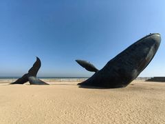 -烟台金沙滩海滨公园