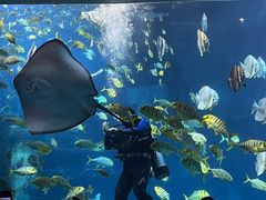 -太平洋海底世界