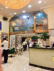 -SOLO Hair Salon