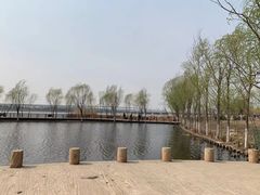 -绿堤公园