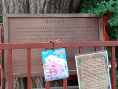 门面-康陵正德春饼宴26号