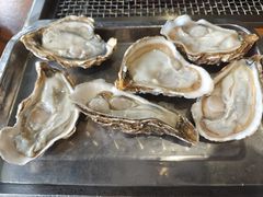 -蚝英雄·自助烤蚝(高新店)