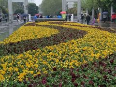 -武汉大学-樱园