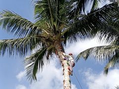 -石梅湾艾美度假酒店