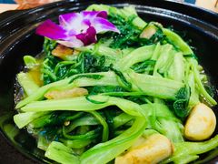 -香港深井掂檔烧鹅茶餐厅(海韵城店)
