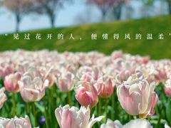 -上海辰山植物园