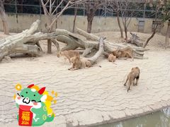 -常州淹城野生动物世界