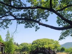 -尚湖风景区