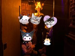 -棂笼·深度沉浸密室(武汉旗舰店)