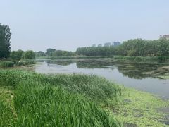 -马家湾湿地公园