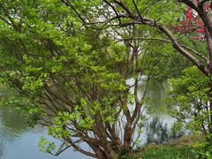 -贵阳市花溪国家城市湿地公园