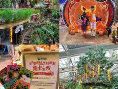-正佳雨林生态植物园