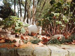 -T80科技文化国际社区-停车场