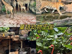 -长鹿旅游休博园