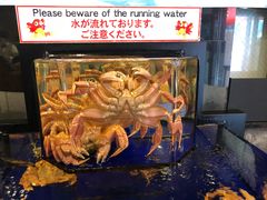 -蟹道乐(道顿堀本店)