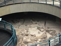 -自贡恐龙博物馆