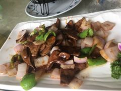 -丁老爷子苏香圆