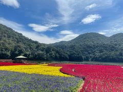 -广州市石门国家森林公园