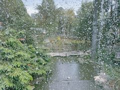 -吉隆坡雀鸟公园