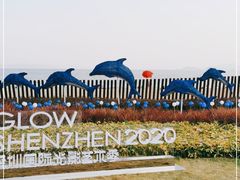 -大梅沙海滨公园