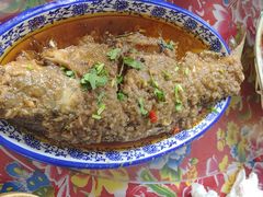 水库鱼-何适山庄 ·可团建(水长城P2停车场店)