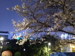 -一澜江宴·江景地标楚菜(江滩公园店)