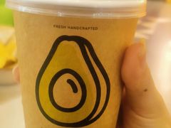 -油梨树 AVOCADO TREE(亮马桥店)