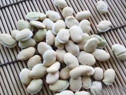 -姜美堂·蒸姜除湿の纤体美颜馆