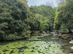 -杭州植物园