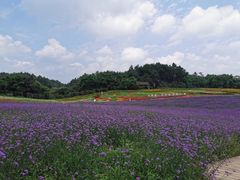 -保利石象湖景区