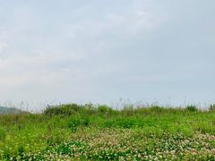 -平湖九龙山旅游度假区