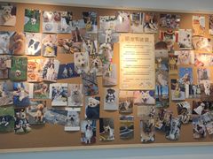 -翊宠yipet猫狗购宠庄园犬舍•猫舍