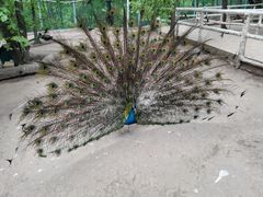 -哈尔滨北方森林动物园