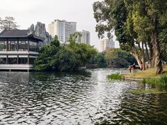 -荔湾湖公园
