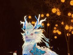 -府河摄影公园