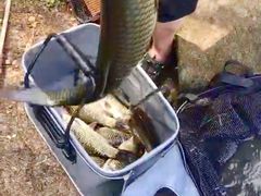 -帐篷客·溪龙茶谷度假酒店