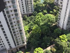 -新湖明珠城