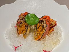 -蘇锦宴·淮扬菜烤鸭·小院(三元桥霄云路店)