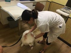 -派联宠物医院·24h·CT·异宠