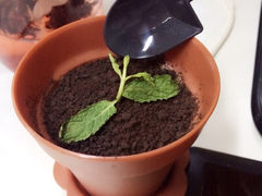 iphone_upload_pic-Sweety Fairy小蜜蜂蛋糕&下午茶(大柏树店)