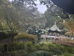-申粤轩酒楼·三十年粤菜经典(丁香花园店)