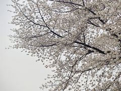 -南浦大桥长途旅游客运站