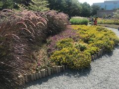 -映月湖公园
