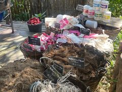 -大象粑粑造纸公园