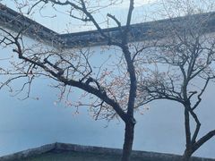 -拙政园