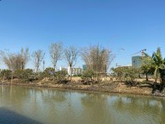 -江门古劳水乡旅游区