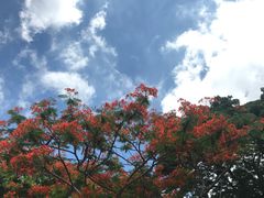 -Cheevit Cheeva(Sirimangkalajarn)