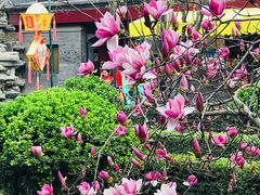 -白家大院·王府宫廷菜(苏州街店)