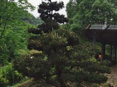 -阿哈湖国家湿地公园